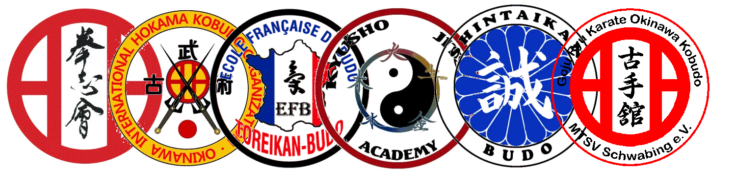 Kenshikai Kyusho Academy Shintaikan Koshukan